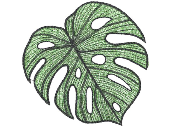 Elephant Ear Leaf Embroidery Design Review