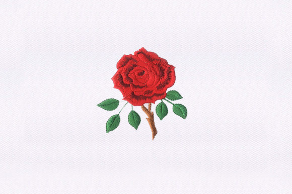 Thorny Red Rose Review for Real Projects